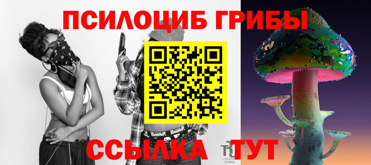Галлюциногенные грибы Cubensis  Галлюциногенные грибы MAGIC MUSHROOMS  Вход с VPN  Тамбов 