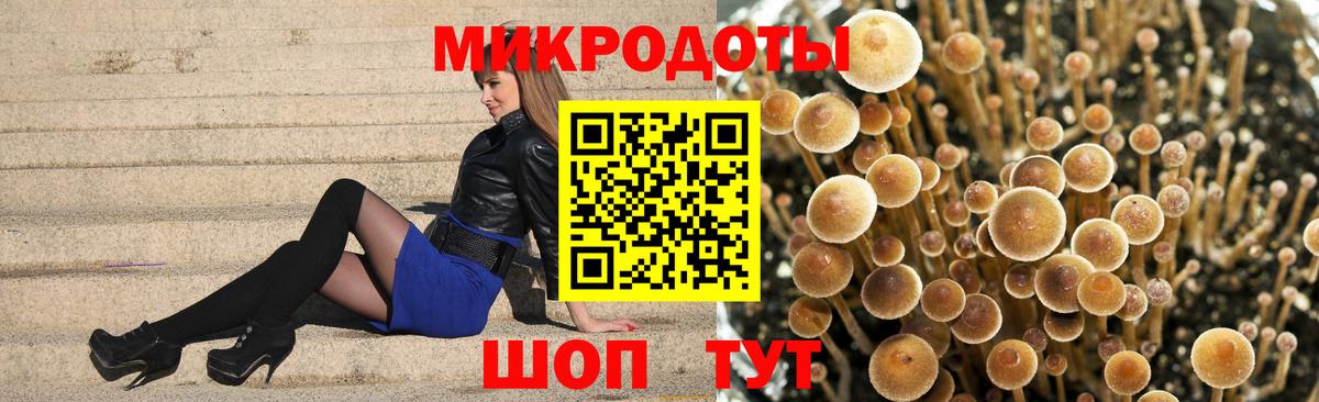 Галлюциногенные грибы MAGIC MUSHROOMS Тамбов
